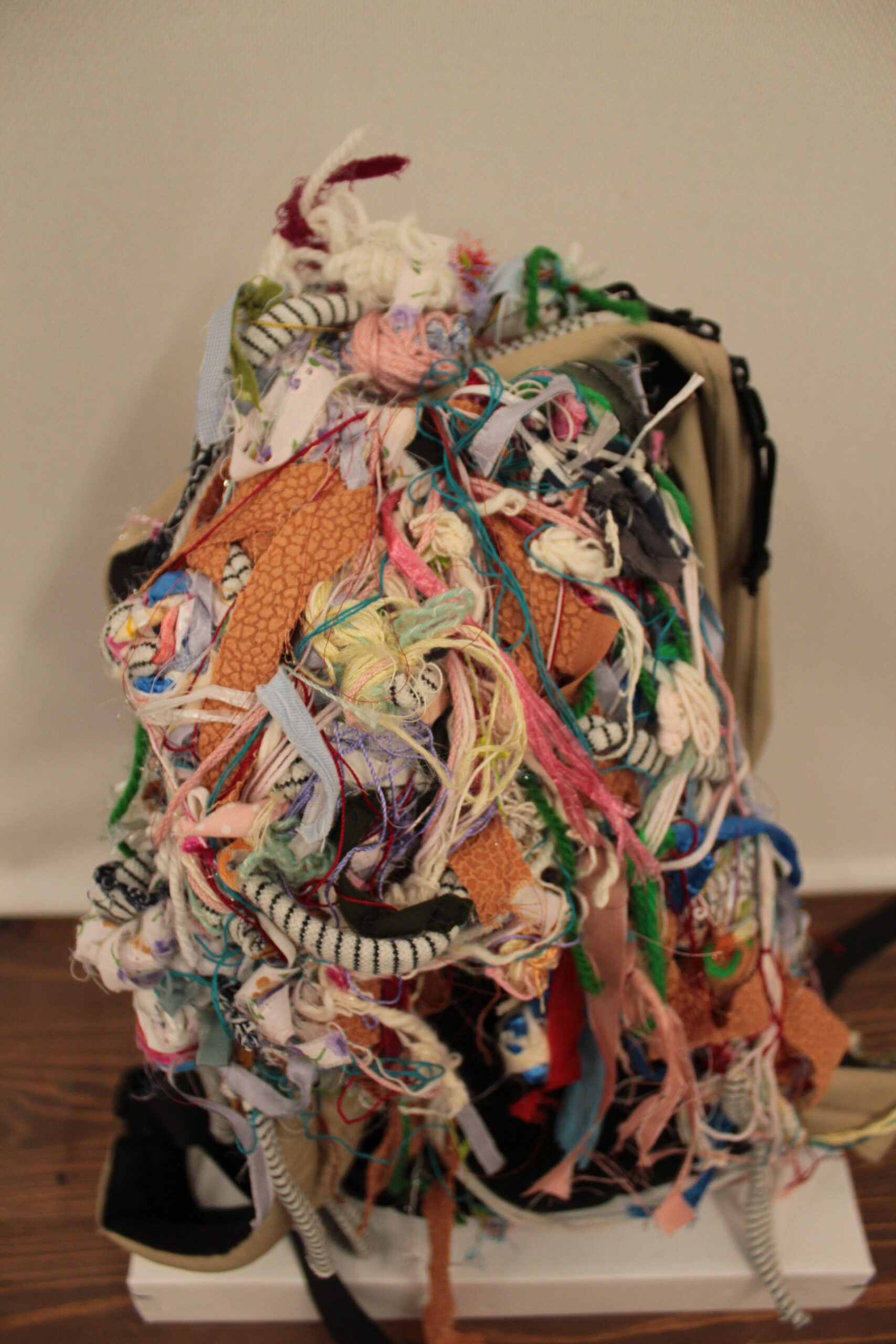 《無題》 リュック、紐など(表側) 500×300×270